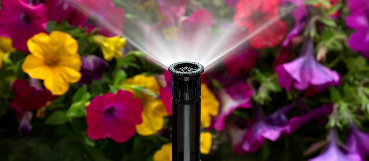 Hunter pressure-regulated sprinkler nozzle irrigating a green lawn with efficient water distribution