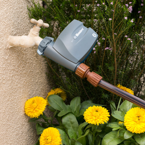 Gray Hunter Bluetooth hose end timer attached to outdoor faucet with brown garden hose and yellow flowers nearby.