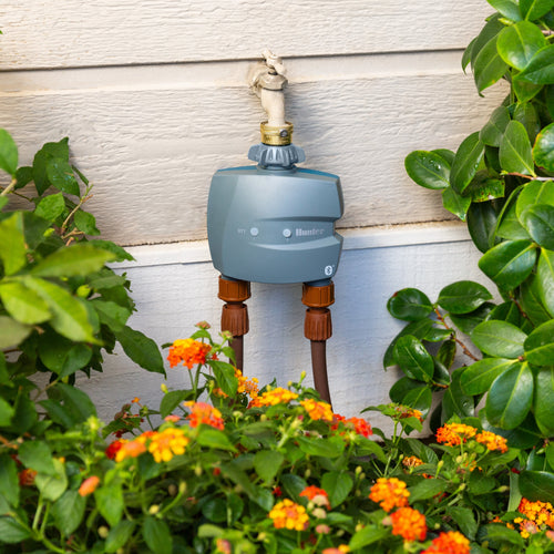 Watering system with garden hose and plants in a garden setting