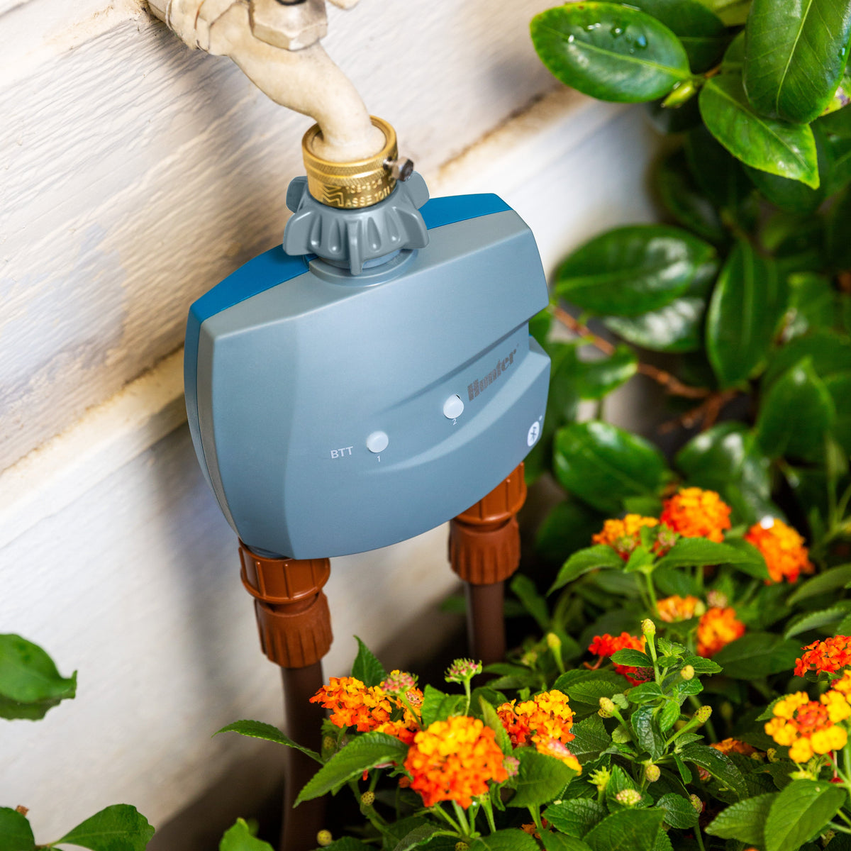 Gray and blue Bluetooth hose end timer attached to outdoor faucet above colorful orange flowers.