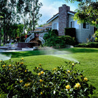 Sprinkler watering a lawn with a house and trees in the background