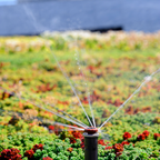 Hunter MP1000 Rotator ultra efficiency adjustable nozzle 90-210 degree pattern in use for garden