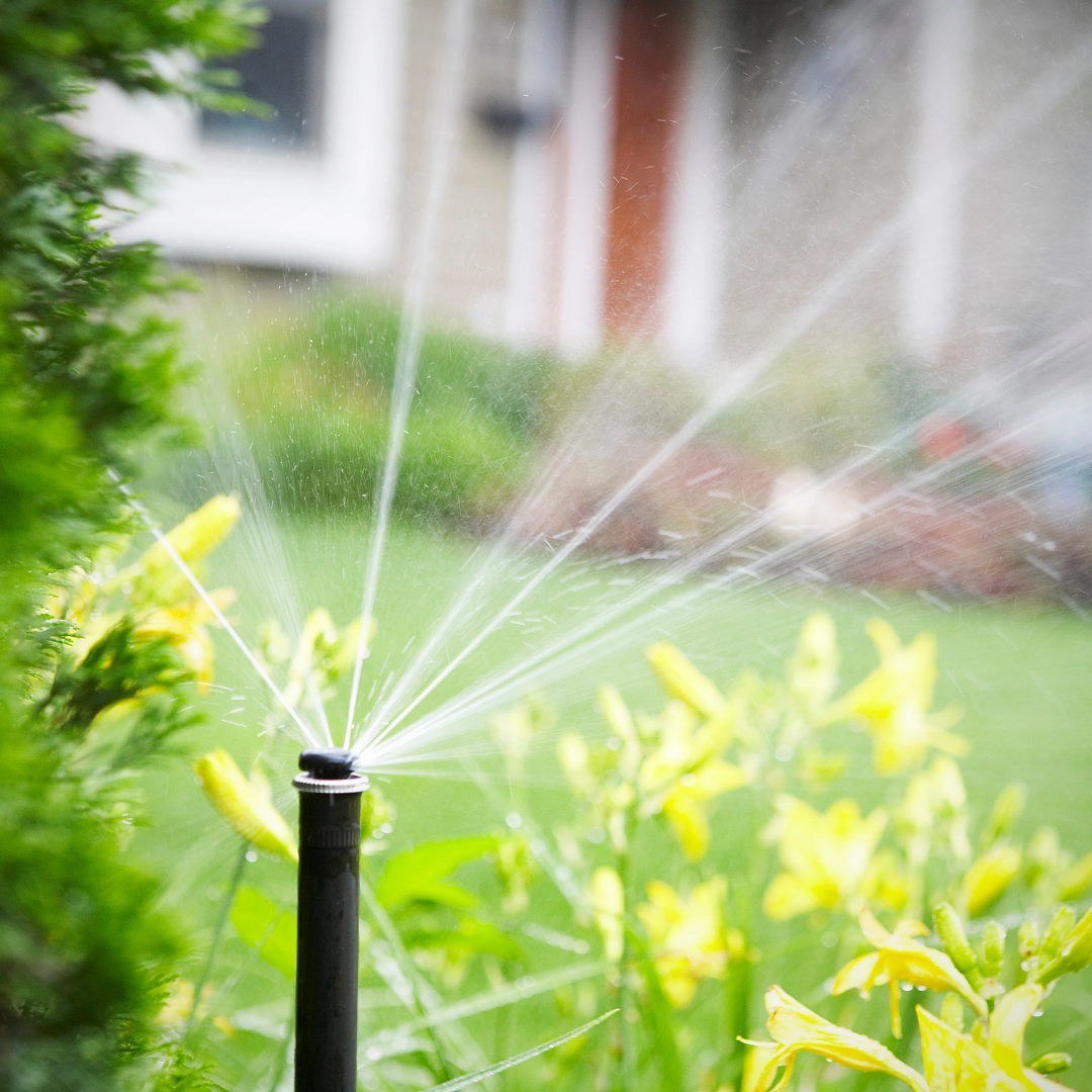 Hunter MP2000 Rotator ultra efficiency adjustable nozzle 90-210 degree pattern spraying in garden