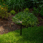 Garden with various plants and a wooden fence in the background