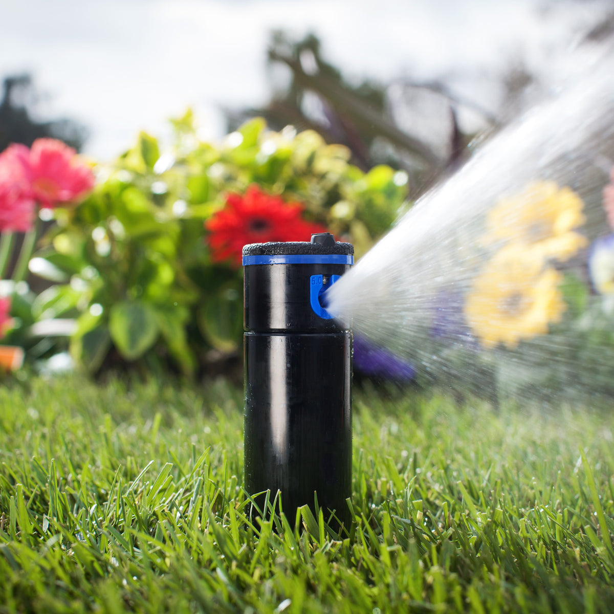 Sprinkler spraying water on grass with flowers in the background