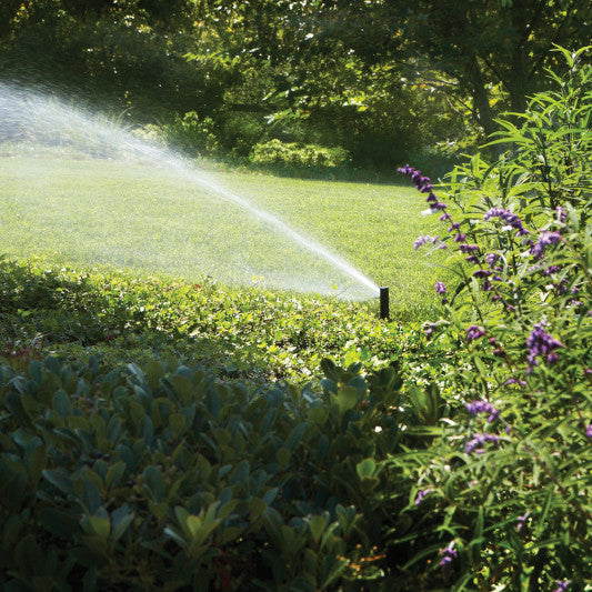 Sprinkler watering a lawn with green grass and purple flowers in the foreground