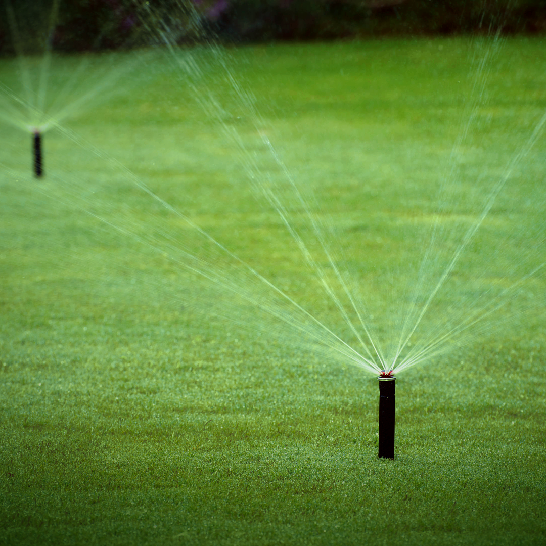 Hunter MP2000 Rotator 360 degree fixed nozzle installed in demonstrating 360 degree spray pattern